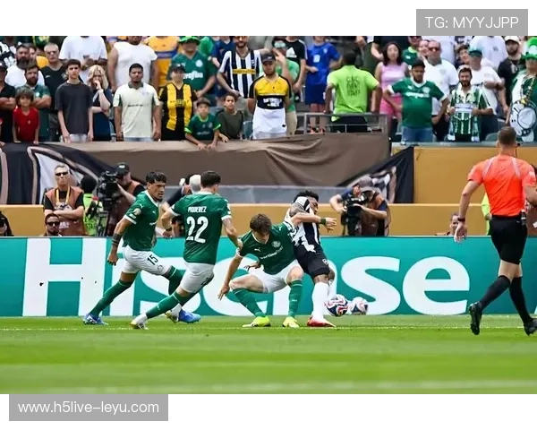 恩佐·费尔南德斯转会传闻再起，多支豪门俱乐部展开争夺战