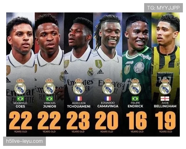 德甲转会费榜单出炉：豪门布局未来新星引发关注