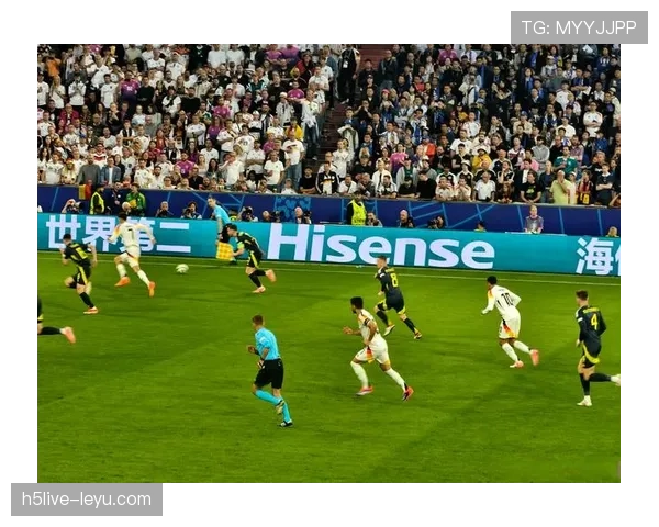 欧洲杯点燃球场激情,球迷热情见证历史高光时刻 欧洲杯点燃球场激情,球迷热情见证历史高光时刻