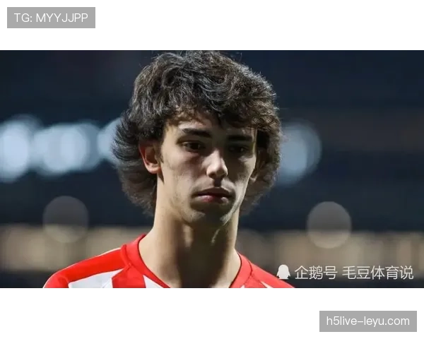 恩昆库与菲利克斯：同代天才攻击手的分化轨迹