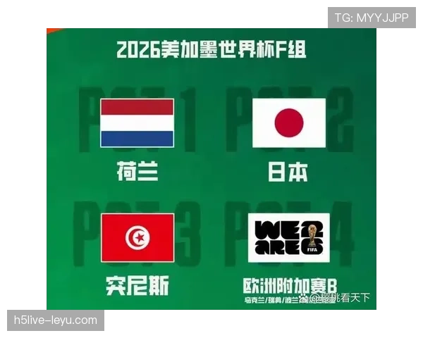 F组最容易低估的国家队